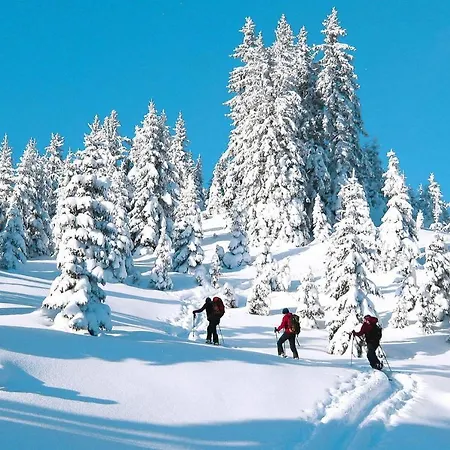 Holiday Erzberg Alpin - Osm02507-dyc إيسينيرزير